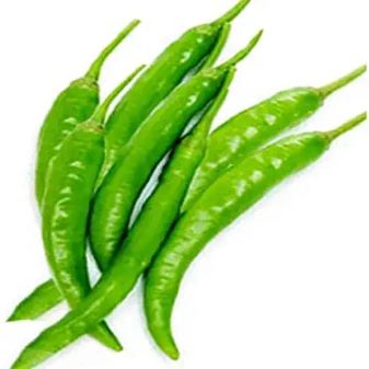 Green Chilly Seed (CA-960)