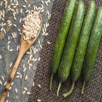 Kheera( Cucumber ) Green Long Seed